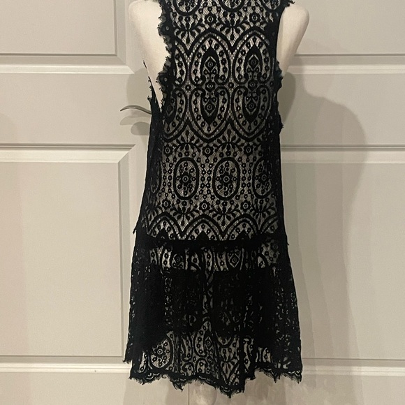Free People Lace Drop Waist dress. *used twice* Medium - Picture 4 of 6